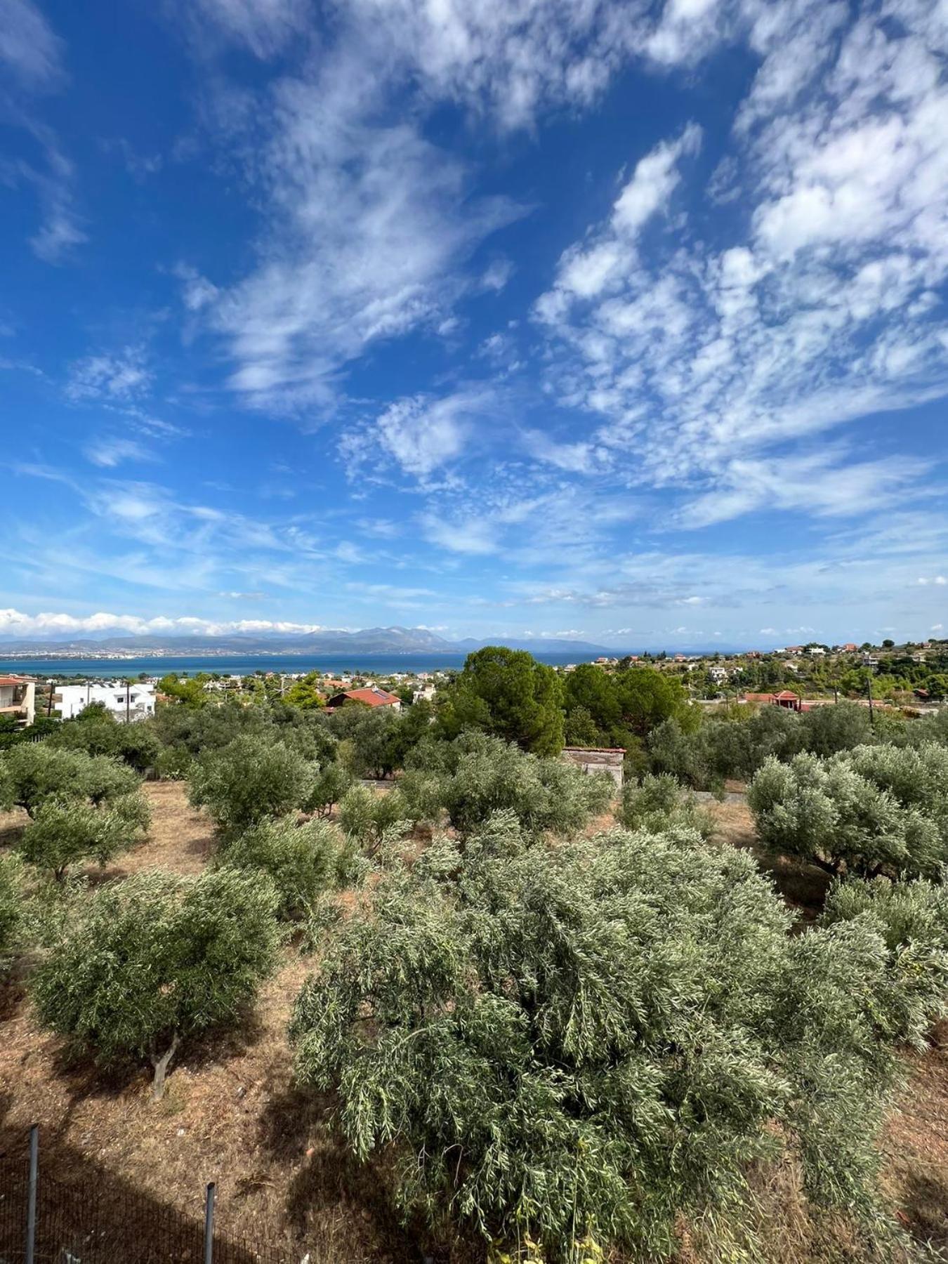 Villa Xenia'S Seaview House Paralia Avlidhos Exterior foto